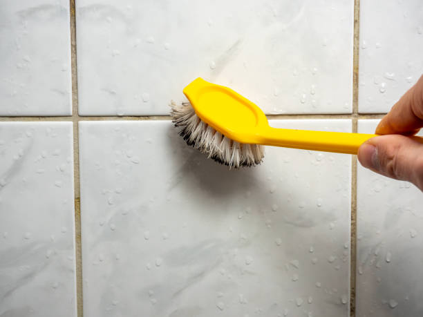 Best Mold Removal Specialists  in Santee, CA