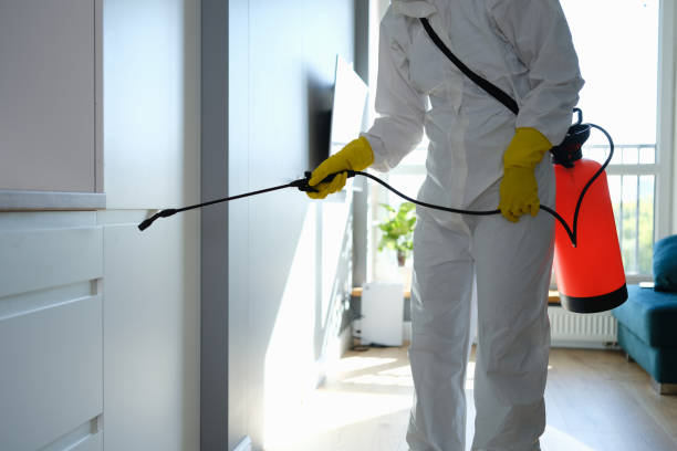 Best Home Mold Removal  in Santee, CA
