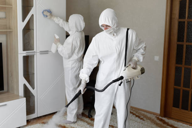 Best Professional Mold Removal  in Santee, CA