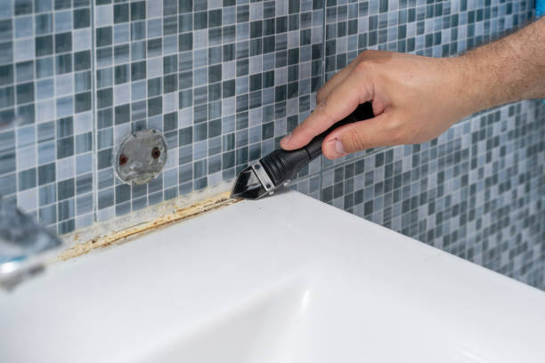 Best Mold Damage Repair  in Santee, CA