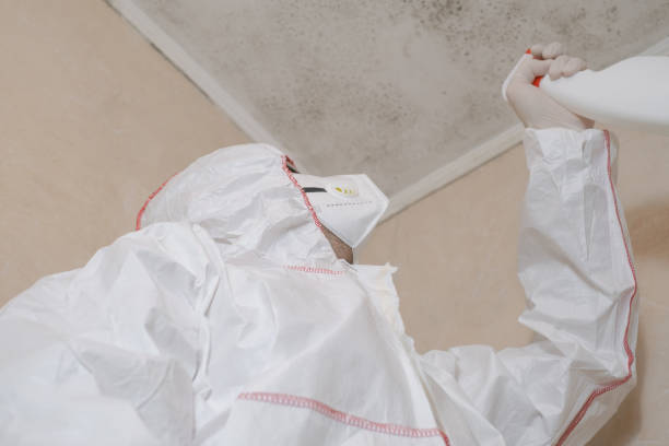 Best Residential Mold Removal  in Santee, CA