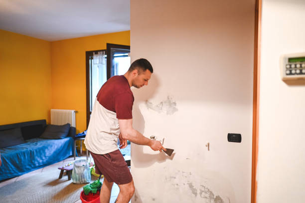 Best Mold Testing  in Santee, CA